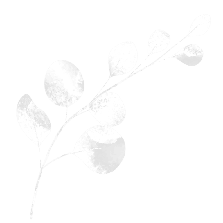 Feuilles blanches Balthazar Bonnevalle